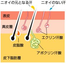 �f�g�����X